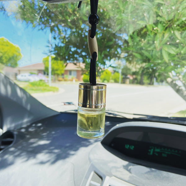 Hanging Car Diffuser